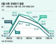 국내 전문가들 