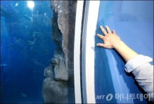 [사진]롯데월드몰 아쿠아리움 수족관 누수