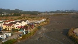 산림욕을 즐기는 겨울여행 대부도 테마펜션시티