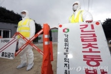 충북 괴산서 구제역 의심축 발생
