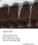 [최광임 시인이 읽어주는 디카시]- 무엇의 뿌리가 된다는 일