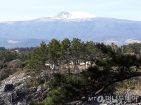 도시여 안녕! 제주냐, 화천이냐?
