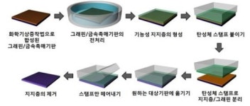 그래핀토탈힐링센타 | 그래핀 '도장 찍듯이' 자유롭게 옮긴다