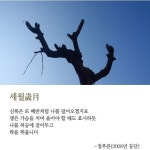[최광임 시인이 읽어주는 디카시]- 배반처럼 봄물 돌았다