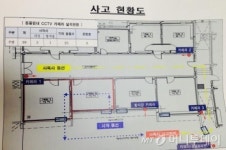 문 열린 사자 우리, 경보시스템은 없었다