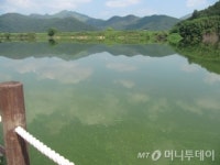 4대강 사업 생태공원 전면 재평가
