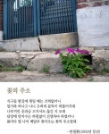 [최광임 시인이 읽어주는 디카시]- 꽃의 주소처럼