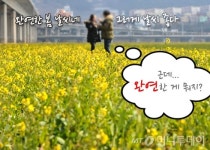 완연한 봄입니… 완연이 뭐지?