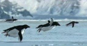 4월1일 만우절, 과학계가 놀란 희대의 뻥 뉴스, 올해는?