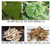 내츄럴엔도텍, 1만명 소액주주들의 운명은