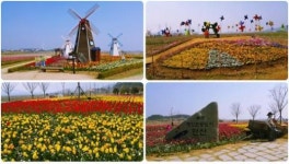 가정의 달 5월, 가족펜션 대부도펜션시티로 떠나는 즐거운 여행