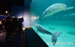 롯데월드몰 안전성 논란딛고 영업정상화 할까
