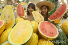 [사진]이마트, 함안산 이색수박 출시
