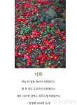 [최광임 시인이 읽어주는 디카시]- 꽃은 져도 꽃