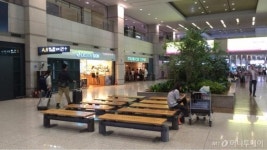 손님 없어 월세도 못내요…메르스 한파 덮친 공항·식당가