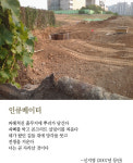 [최광임 시인이 읽어주는 디카시] 새롭게 태어나는 일