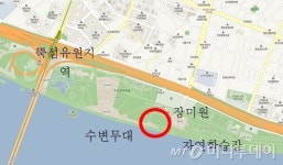 뚝섬·잠원 한강공원에 편백나무 힐링숲 생긴다