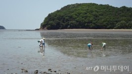 서해바다열차 타고 가는 여름 휴가지 9선