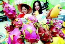 새콤달콤 동남아 열대과일 맛보세요