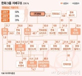 김승연 한화그룹 세 자녀 100% 보유한 한화S&C 주목