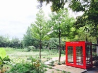 원광대, 자연식물원에 숲속 작은 도서관 오픈