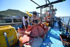 선박조종 '해기사' 면허도 위조서류로 발급…관리 '사각지대'