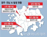 광주·담양서 AI 추가 확인.. 추석 앞두고 방역당국 초비상