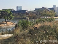 주말 나들이 송도 찾는 가족여행객 급증 이유