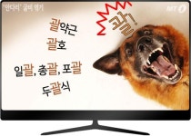 가로 열고~ 가로 닫고가 아니라 괄호!