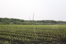 중의학으로 시작한 암웨이 80년 책임질 R&D 센터