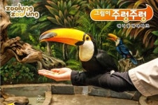 주니몽, 테마파크 주렁주렁과 그림이 주렁주렁 행사 진행