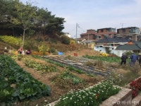 이웃과 오래 오래 살수 있는 우리 마을이 좋아요