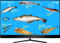 명태, 생태, 노가리, 코다리… 우리는 가족