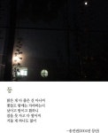 [최광임 시인이 읽어주는 디카시]- 과유불급의 세상