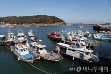 굴의 유혹 vs 사르르 녹는 삼치회