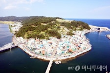 천년의 그 맛! 영덕대게를 즐겨라!