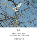 [최광임 시인이 읽어주는 디카시] 꿈꾸기 좋은 계절