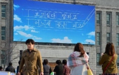 보고싶다…꽃은 피고…봄맞은 서울광장 글귀