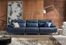 에넥스 가구 디바닉소파, 전시품 할인행사