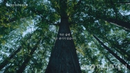 유한킴벌리 우리강산 푸르게 푸르게 캠페인 새 광고 선봬