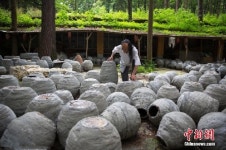 中구이저우 칠순 돌장인 은둔 20년만에 맨손으로 환상의 성 만들어