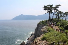 쪽빛의 단색화로 물든 거제의 여름