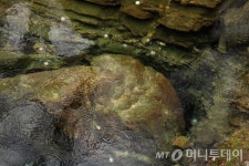 [이호준의 길위의 편지] 뿌리를 찾아가는 여행