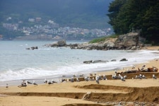 [여름이다, 떠나자!]④해운대는 그만…숨겨진 보석같은 해변 4곳