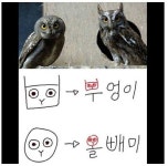 성기교차로 성기마을이 무슨 뜻일까요?