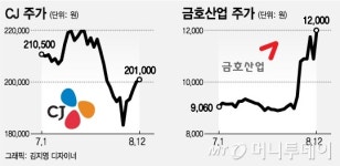 오너 변수 벗어나니 주주들 웃는다…CJ·금호그룹株