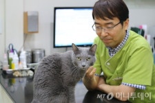 보신탕 논란,  ‘무법지대’ 관련법 ‘적용’의 문제