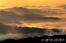 태백산국립공원사무소 개소, 생태복원·안전관리 등 본격 업무