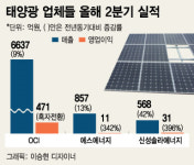 보릿고개 넘긴 태양광…6년 만에 햇볕 쨍쨍