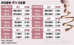 사드얼룩 지운 화장품株 상승…김영란법은 변수